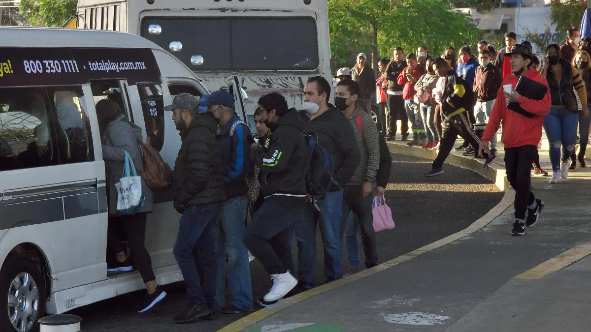 TRANSPORTE PUBLICO_AJO (1)